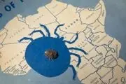 این موجود خوشبخت می‌تواند ۳۰ سال غذا نخورد!