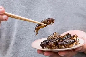 غذای چندش‌آوری که برای میل جنسی بمب است