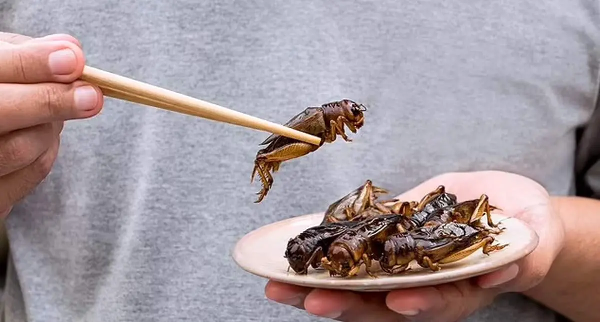 غذای چندشآوری که برای میل جنسی بمب است