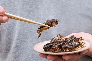 غذای چندش‌آوری که برای میل جنسی بمب است