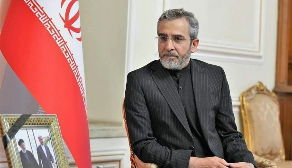 واکنش علی باقری به اقدام تحریک‌آمیز کانادا