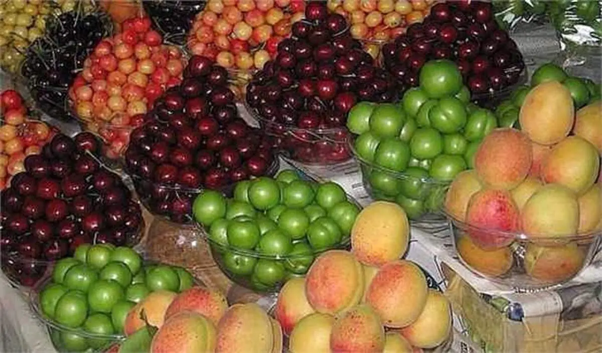 نوشته عجیب در یک میوه‌فروشی خبرساز شد!/ عکس