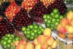 گرانترین میوه‌های فصل