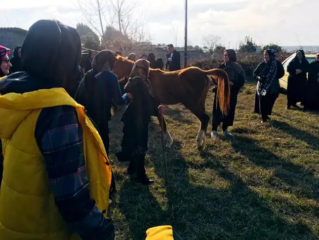 همایش پیاده روی خانوادگی در روستای  اسکنده سرخ رود