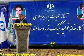 کارخانه تولید کیک زرد در ساغند اردکان به بهره‌برداری رسید