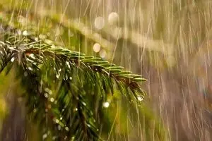  آب جیره‌بندی می‌شود؟