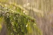 بحران کم‌آبی تهران به نقطه خطر رسید