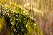 بحران کم‌آبی تهران به نقطه خطر رسید