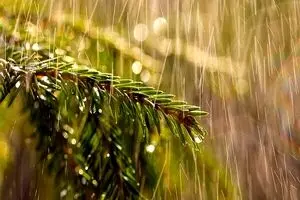  آب جیره‌بندی می‌شود؟