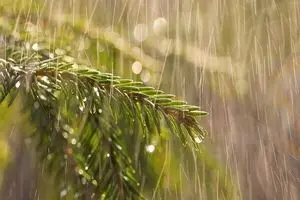 بحران کم‌آبی تهران به نقطه خطر رسید