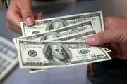 مذاکرات دلار را نا امید کرد!/ سکه و ارز به این سو حرکت خواهند رفت+ جزییات