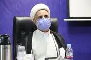 اعلام وصول طرح مجلس درباره حیوانات و سگ گردانی!