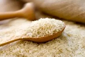 خبری نگران کننده درباره برنج