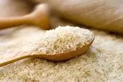 سه‌برابر شدن قیمت برنج در راه است