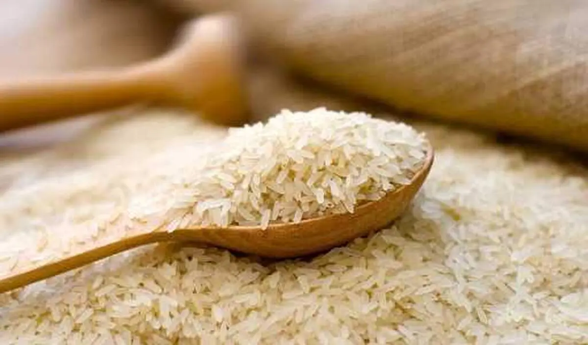 اعلام قیمت رسمی انواع برنج در اولین روز ۱۴۰۱