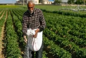 خبر خوش برای کشاورزان/ جریمه وام بخشیده شد