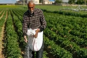 خبر خوش برای کشاورزان/ جریمه وام بخشیده شد
