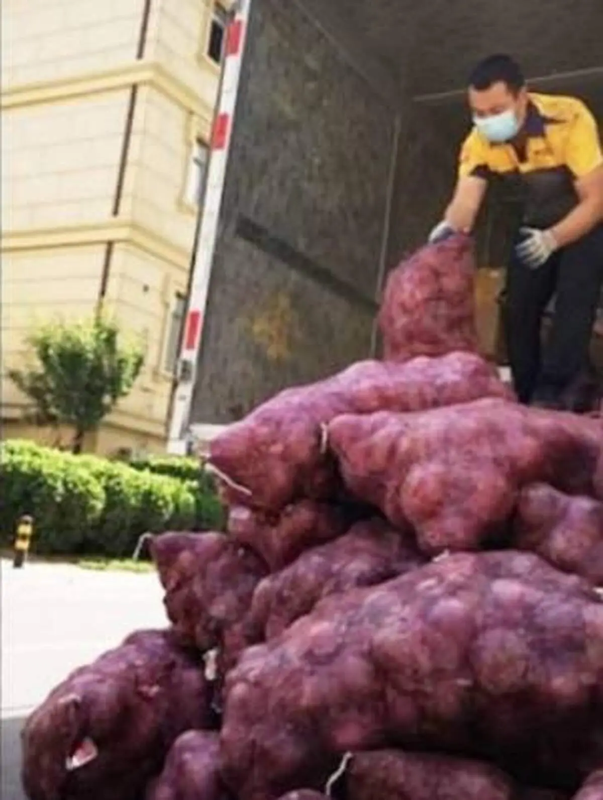 انتقام مسخره دختر دیوانه از نامزدش با 1000 کیلو پیاز تند!