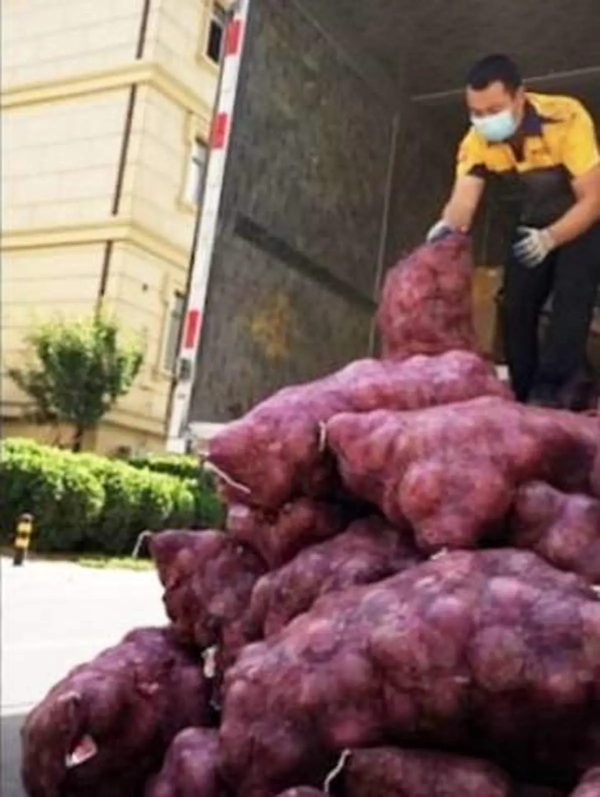 انتقام مسخره دختر دیوانه از نامزدش با 1000 کیلو پیاز تند!
