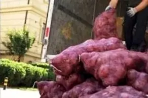 انتقام مسخره دختر دیوانه از نامزدش با 1000 کیلو پیاز تند!