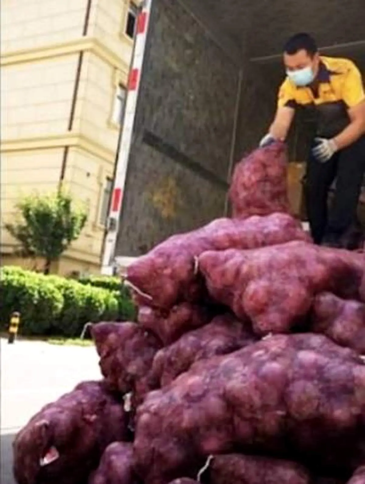 انتقام مسخره دختر دیوانه از نامزدش با 1000 کیلو پیاز تند!
