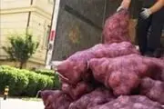 انتقام مسخره دختر دیوانه از نامزدش با 1000 کیلو پیاز تند!