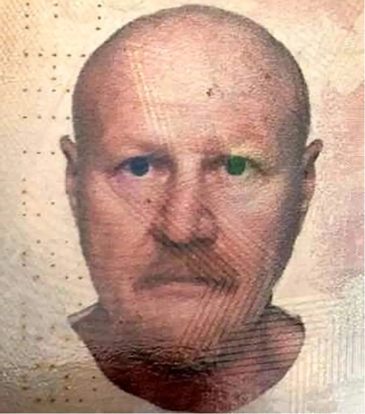 سگ گرسنه جسد صاحبش را تکه تکه کرد و خورد!+عکس وحشتناک و 18+

