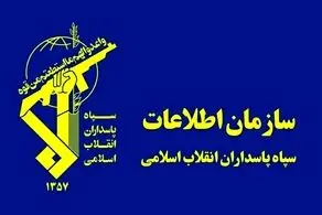 دستگیری یک تبعه بیگانه توسط سازمان اطلاعات سپاه 