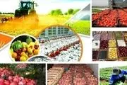 محصولات کشاورزی صادراتی ایران به این دلیل برگشت خورد!+جزییات