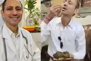 اقدام چندش آور آقای دکتر با خوردن مدفوع گاو 
