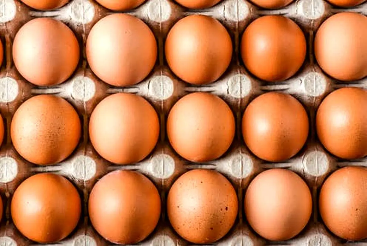 همیشه این مواد غذایی را در یخچال نگهداری کنید

