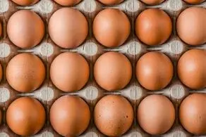 همیشه این مواد غذایی را در یخچال نگهداری کنید
