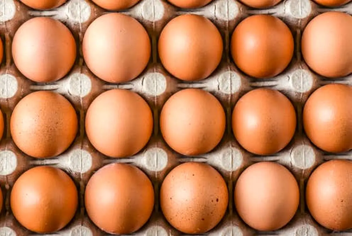 همیشه این مواد غذایی را در یخچال نگهداری کنید