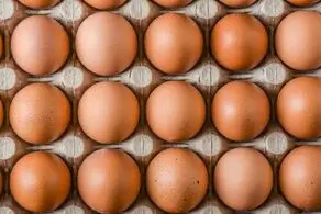 همیشه این مواد غذایی را در یخچال نگهداری کنید
