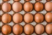 همیشه این مواد غذایی را در یخچال نگهداری کنید
