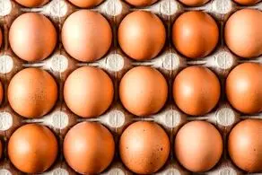 همیشه این مواد غذایی را در یخچال نگهداری کنید
