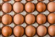 همیشه این مواد غذایی را در یخچال نگهداری کنید
