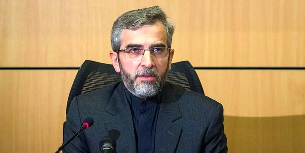 باقری: در پیشبرد منافع ملی خود، از جمله از طریق دیپلماسی، مصمم هستیم