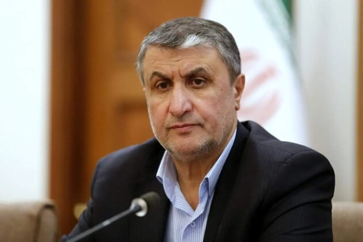 اگر کسی و یا آژانس بخواهد میتواند از ظرفیت هستهای ایران استفاده کند