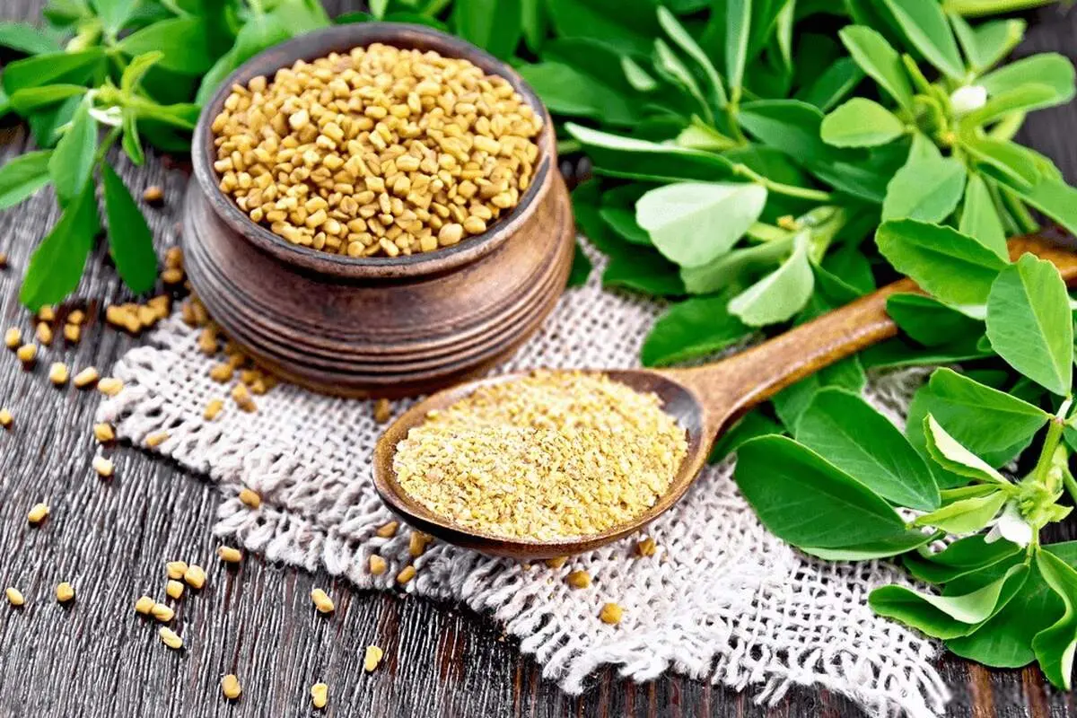این گیاه در درمان بیماری‌های گوارشی معجزه می کند!