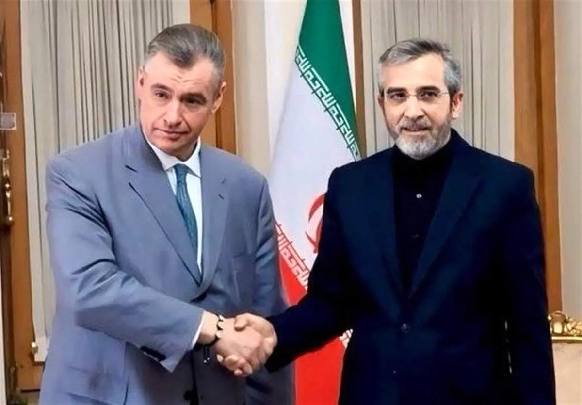 دیدار علی باقری و رئیس کمیته امور بینالملل دومای روسیه