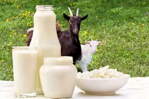 اگر شیر نمی خورید حتما این خوراکی ها را جایگزین شیر کنید!