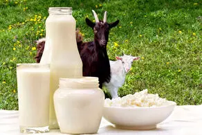 کرونایی‌ها این مواد غذایی را باید بخورند