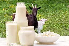کرونایی‌ها این مواد غذایی را باید بخورند