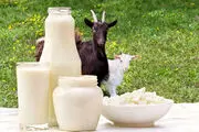 اگر شیر نمی خورید حتما این خوراکی ها را جایگزین شیر کنید!