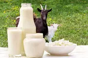 اگر شیر نمی خورید حتما این خوراکی ها را جایگزین شیر کنید!
