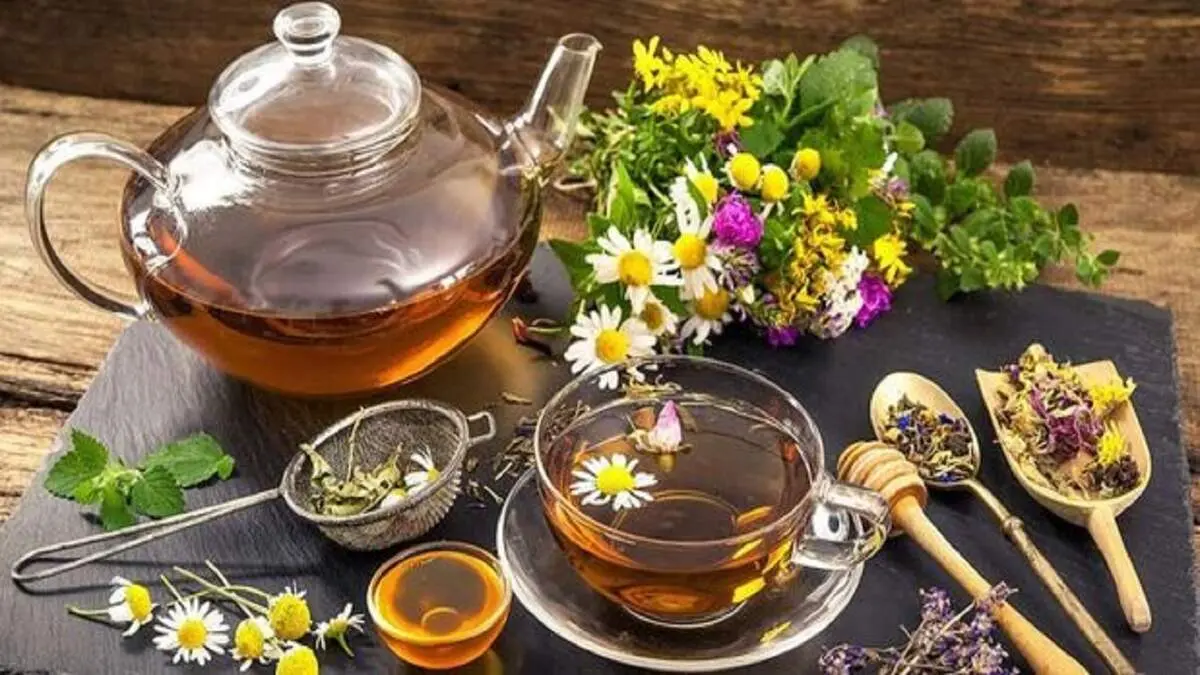 سم زدایی کلیه ها با این دمنوش آسان خانگی
