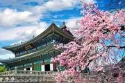 سفر به کره جنوبی چقدر هزینه دارد؟