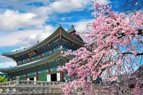 سفر به کره جنوبی چقدر هزینه دارد؟