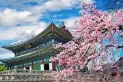 سفر به کره جنوبی چقدر هزینه دارد؟